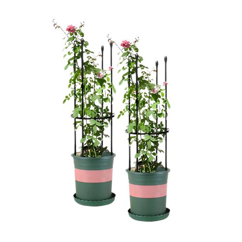 4-Bar Plant Frame Stand Trellis Vegetable Flower Herbs Outdoor Vine Support Garden Rack with Rings – 73 cm, 2