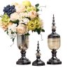 2 x Clear Glass Flower Vase with Lid and White Flower Filler Vase Set – Black