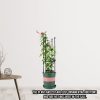 4-Bar Plant Frame Stand Trellis Vegetable Flower Herbs Outdoor Vine Support Garden Rack with Rings – 73 cm, 2