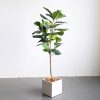 Green Artificial Indoor Qin Yerong Tree Fake Plant Simulation Decorative