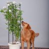 4-Bar Plant Frame Stand Trellis Vegetable Flower Herbs Outdoor Vine Support Garden Rack with Rings – 73 cm, 2