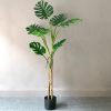 Green Artificial Indoor Turtle Back Tree Fake Fern Plant Decorative