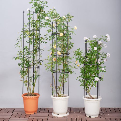 4-Bar Plant Frame Stand Trellis Vegetable Flower Herbs Outdoor Vine Support Garden Rack with Rings – 133 cm, 2