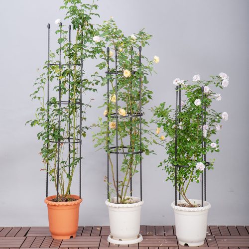 4-Bar Plant Frame Stand Trellis Vegetable Flower Herbs Outdoor Vine Support Garden Rack with Rings – 73 cm, 2