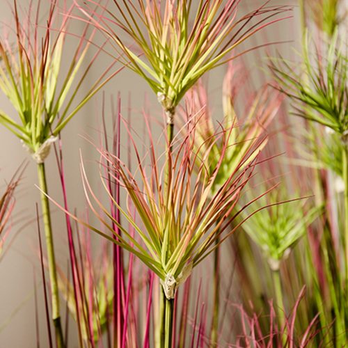 Purple Artificial Indoor Potted Papyrus Plant Tree Fake Simulation Decorative – 1