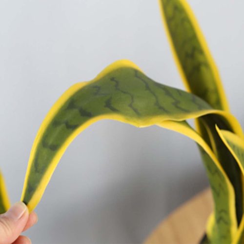 Artificial Indoor Yellow Edge Tiger Piran Fake Decoration Tree Flower Pot Plant