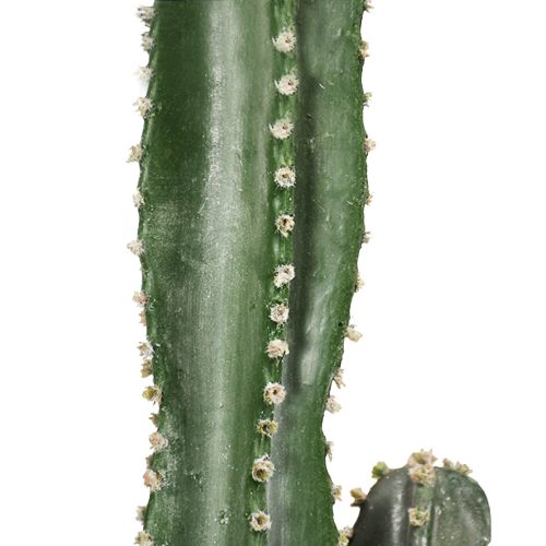 95cm Green Artificial Indoor Cactus Tree Fake Plant Simulation Decorative 2 Heads – 1