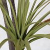 Green Artificial Indoor Dragon Blood Tree Fake Plant Decorative – 1