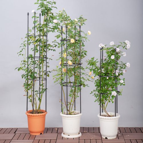 4-Bar Plant Frame Stand Trellis Vegetable Flower Herbs Outdoor Vine Support Garden Rack with Rings – 103 cm, 2