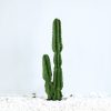 95cm Green Artificial Indoor Cactus Tree Fake Plant Simulation Decorative 2 Heads – 1