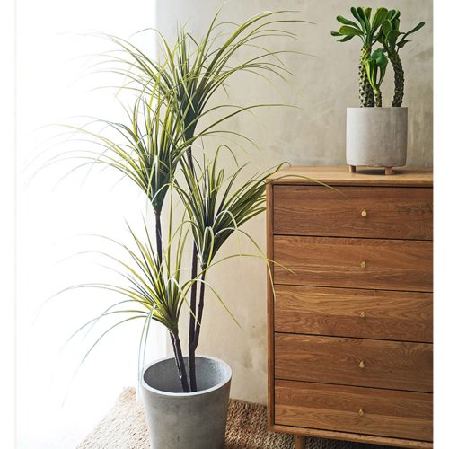 Green Artificial Indoor Dragon Blood Tree Fake Plant Decorative – 1