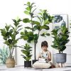 Green Artificial Indoor Qin Yerong Tree Fake Plant Simulation Decorative