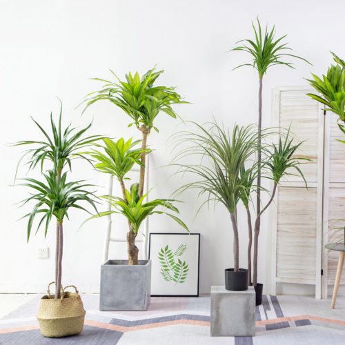 Green Artificial Indoor Brazlian Iron Tree Fake Plant Decorative 3 Heads – 1