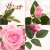 12pcs Artificial Silk Flower Fake Rose Bouquet Table Decor – Pink