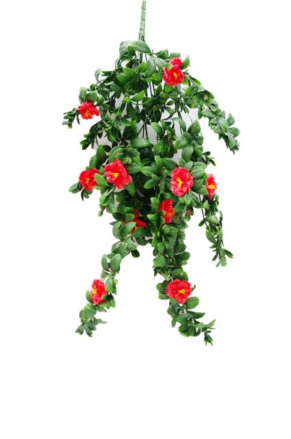 Hanging Stem UV 85cm – Red Rose