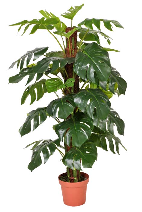 Artificial Philodendron 140cm
