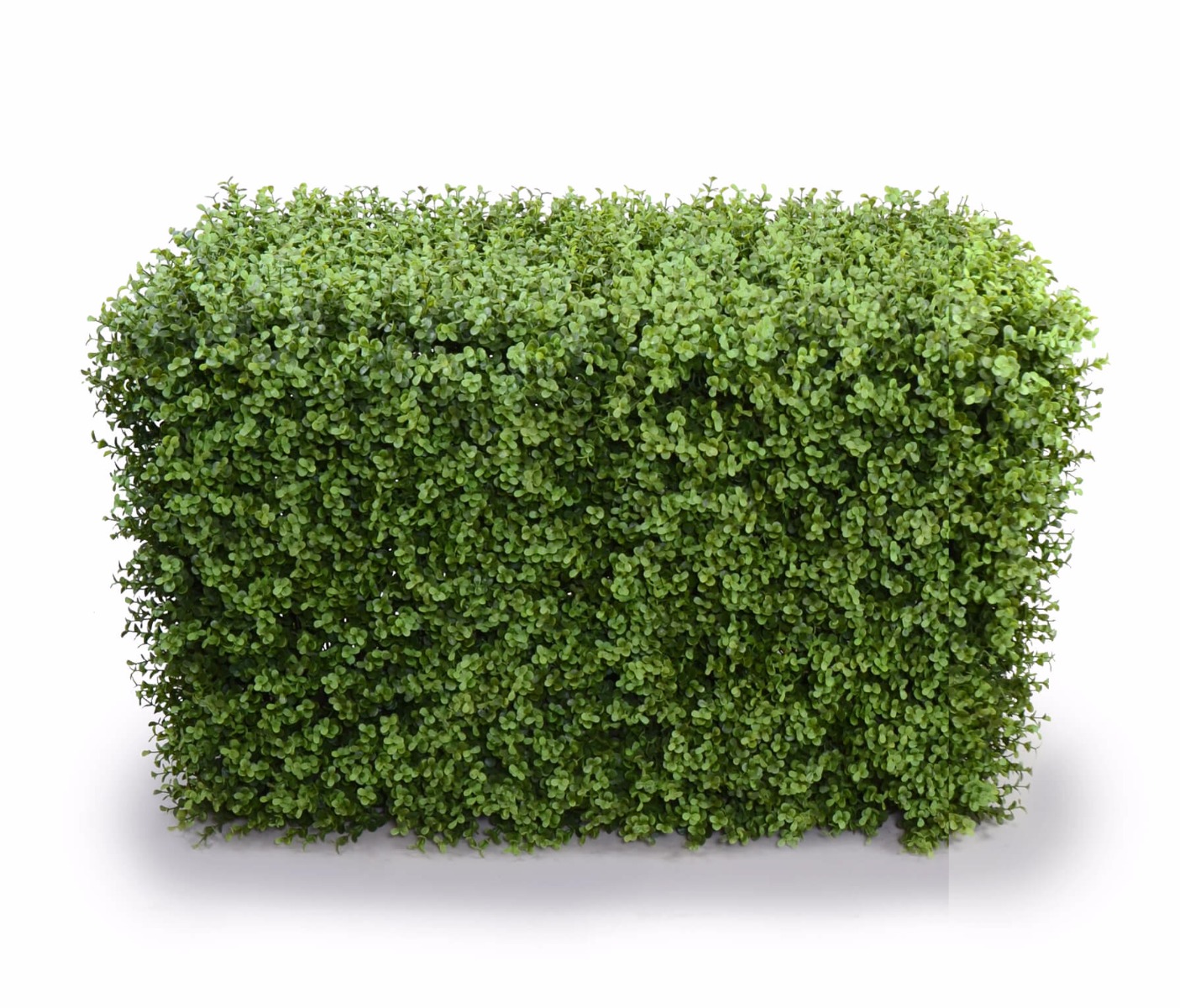 Deluxe Portable Buxus Hedges UV Stabilised