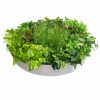 Artificial Green Wall Disk Art 80cm – Mixed Fern