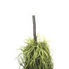 Artificial Air Plant Spanish Moss – Old Man Beard 60cm