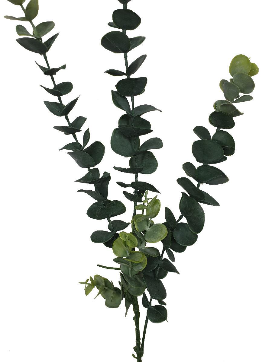 5 Pack – Long Eucalyptus Stem 77 cm