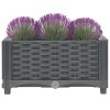 Raised Bed Polypropylene – 40x40x23 cm, Dark Grey