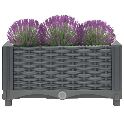 Raised Bed Polypropylene – 40x40x23 cm, Dark Grey