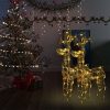 Reindeer Christmas Decoration LEDs Acrylic