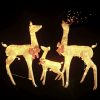 Reindeer Family Christmas Decoration 201 LEDs – Gold