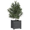 Garden Planter 31x31x31 cm Solid Pinewood – Grey, 1