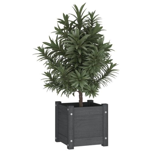 Garden Planter 31x31x31 cm Solid Pinewood – Grey, 1