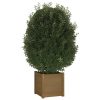 Garden Planter 40x40x40 cm Solid Pinewood – Honey Brown, 1