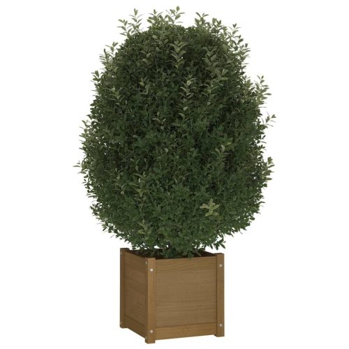 Garden Planter 40x40x40 cm Solid Pinewood – Honey Brown, 1