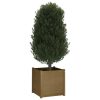 Garden Planter 60x60x60 cm Solid Pinewood – Honey Brown, 1