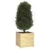 Garden Planter 70x70x70 cm Solid Pinewood – Brown
