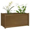 Garden Planter 100x50x50 cm Solid Pinewood – Honey Brown, 1
