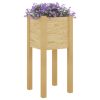 Garden Planter 31x31x70 cm Solid Pinewood – Brown, 1