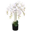 Artificial Orchid Plant with Pot – 75 cm, White
