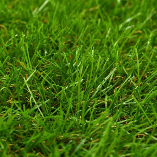 Artificial Grass 40 mm Green