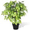 Artificial Dwarf Ficus with Pot – 60 cm