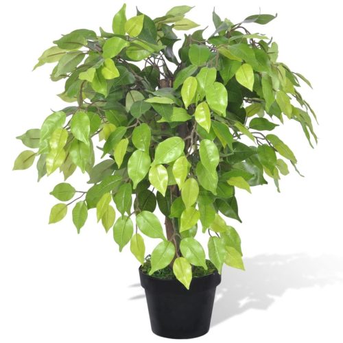 Artificial Dwarf Ficus with Pot – 60 cm