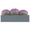Raised Garden Bed Galvanised Steel Grey – 320x40x77 cm