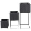 Garden Raised Beds 3 pcs Poly Rattan – Black