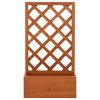 Garden Trellis Planter 50x25x90 cm Solid Firwood – Orange