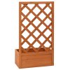 Garden Trellis Planter 50x25x90 cm Solid Firwood – Orange