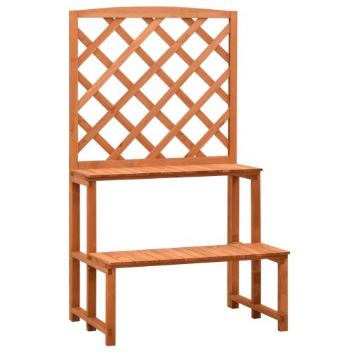 Plant Stand with Trellis 70x42x120 cm Solid Firwood – Orange