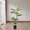 90cm 2-Trunk Artificial Natural Green Split-Leaf Philodendron Tree Fake Tropical Indoor Plant Home Office Décor – 1