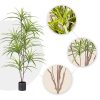 Artificial Natural Green Dracaena Dragon Tree Fake Tropical Indoor Plant Home Office Decor – 1