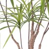 Artificial Natural Green Dracaena Dragon Tree Fake Tropical Indoor Plant Home Office Decor – 1