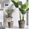 Round Resin Plant Flower Pot in Cement Pattern Planter Cachepot for Indoor Home Office