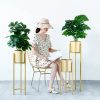 30CM Gold Metal Plant Stand with Flower Pot Holder Corner Shelving Rack Indoor Display